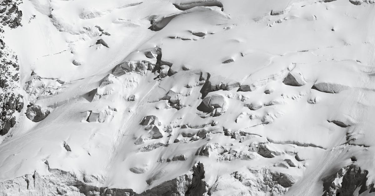 découvrez tout ce qu'il faut savoir sur les avalanches : leur formation, les dangers qu'elles représentent, des conseils de prévention et des techniques de survie. restez informé pour profiter des sports d'hiver en toute sécurité.