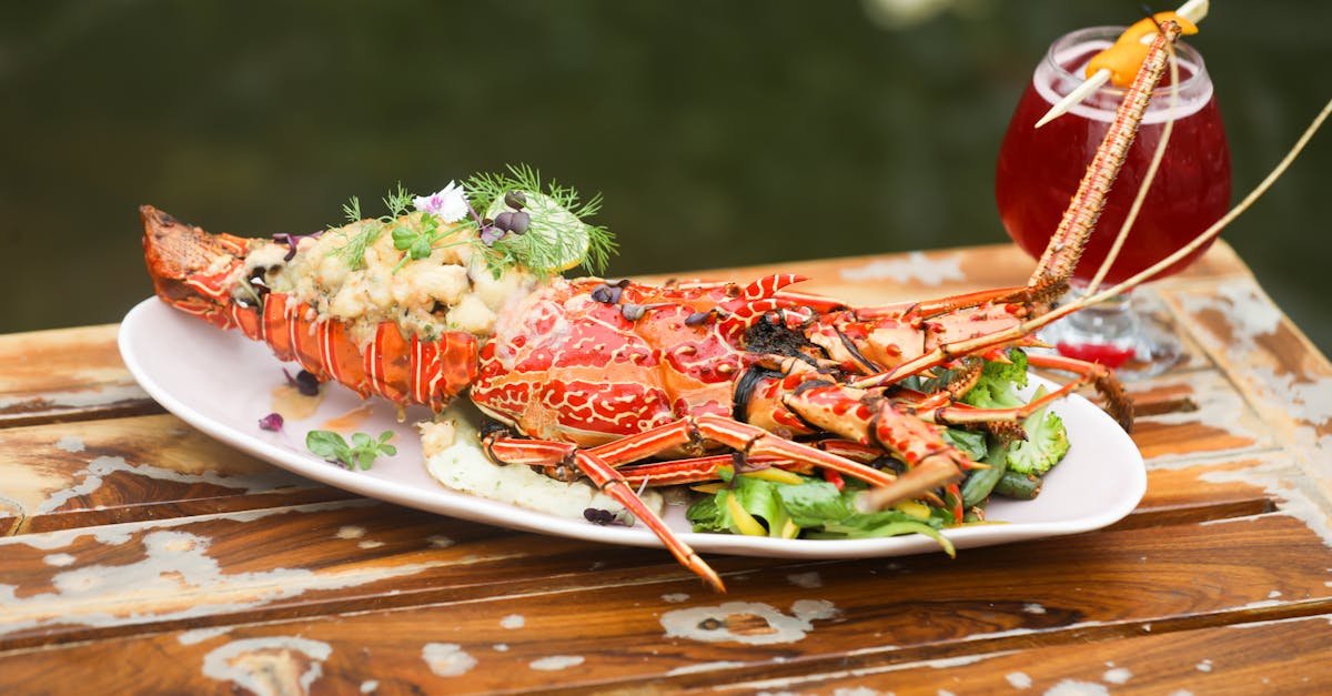 découvrez l'univers fascinant de la gastronomie, où l'art culinaire rencontre la culture. explorez des recettes délicieuses, des techniques innovantes et des traditions gastronomiques du monde entier.