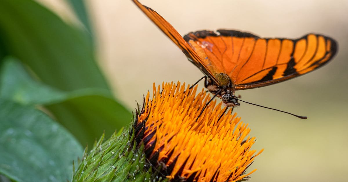 découvrez l'univers captivant de céline dion, la superstar mondiale au talent exceptionnel. plongez dans sa carrière, ses albums emblématiques et ses performances inoubliables qui ont marqué des générations.