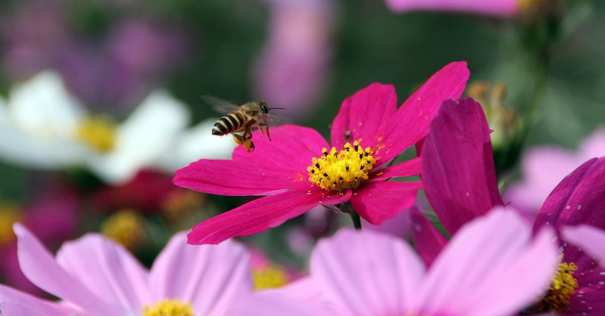 découvrez l'univers fascinant d'elon musk, entrepreneur visionnaire et fondateur de spacex et tesla. plongez dans sa carrière exceptionnelle, ses innovations technologiques et ses ambitions audacieuses pour l'avenir de l'humanité.